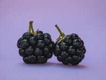 Load image into Gallery viewer, Blackberry Harvest